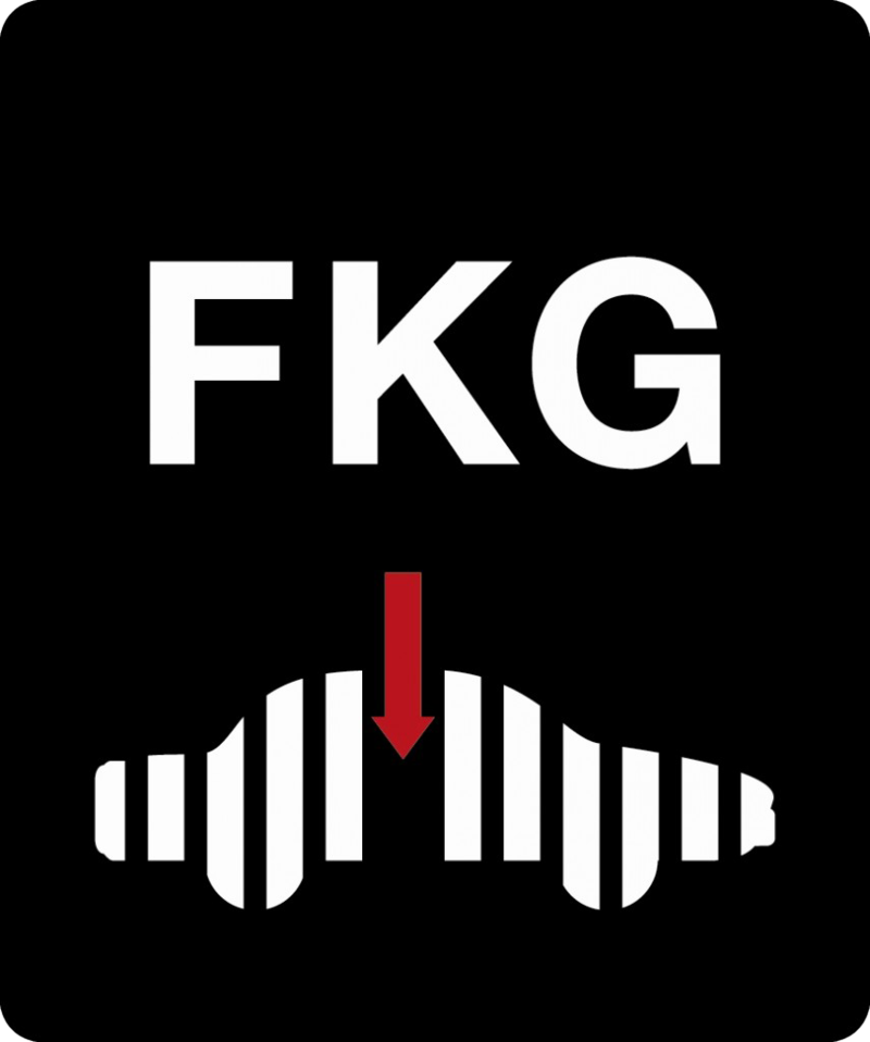 FKG Logga 