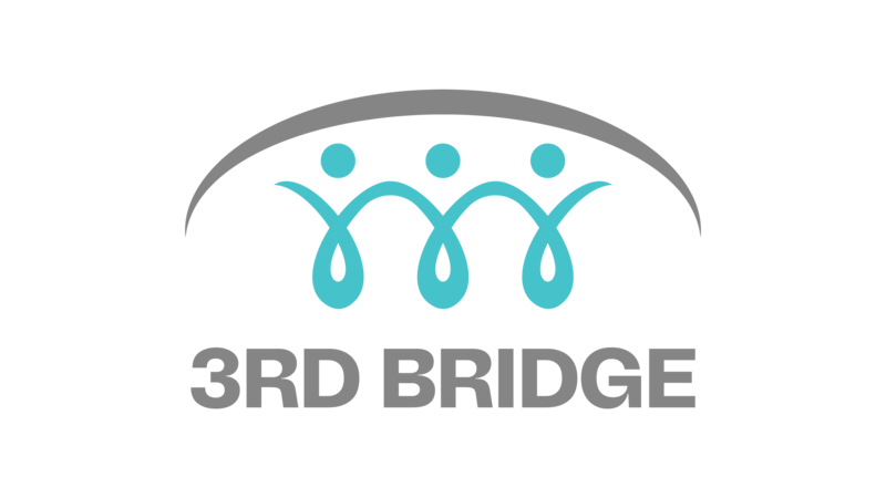 3rd bridge logotyp
